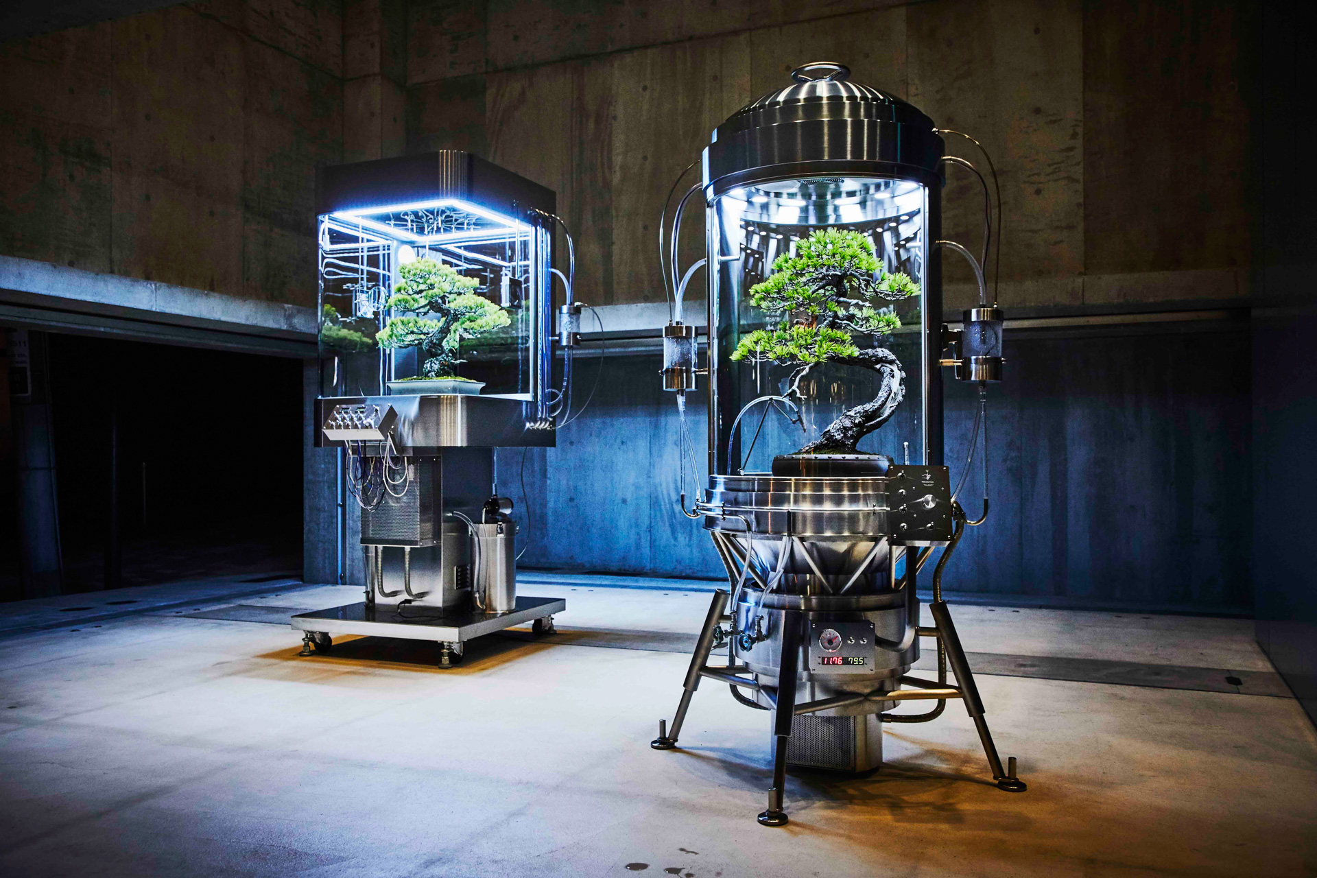 Exhibition : Paludarium TACHIKO & YASUTOSHI | AMKK（東信, 花